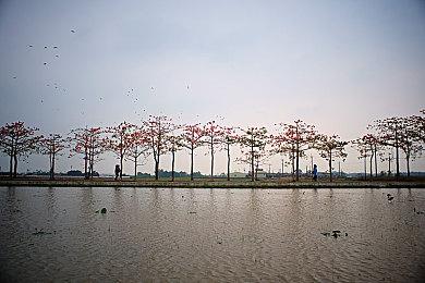 《皇家骑士团：重生》在澳获得评级 或将于11月11日发售